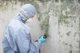 Best Asbestos and Lead Testing During Mold Inspection  in Riverton, NJ